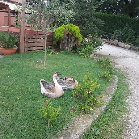 Bed and Breakfast Georgerock Grimaldi  Exterior foto
