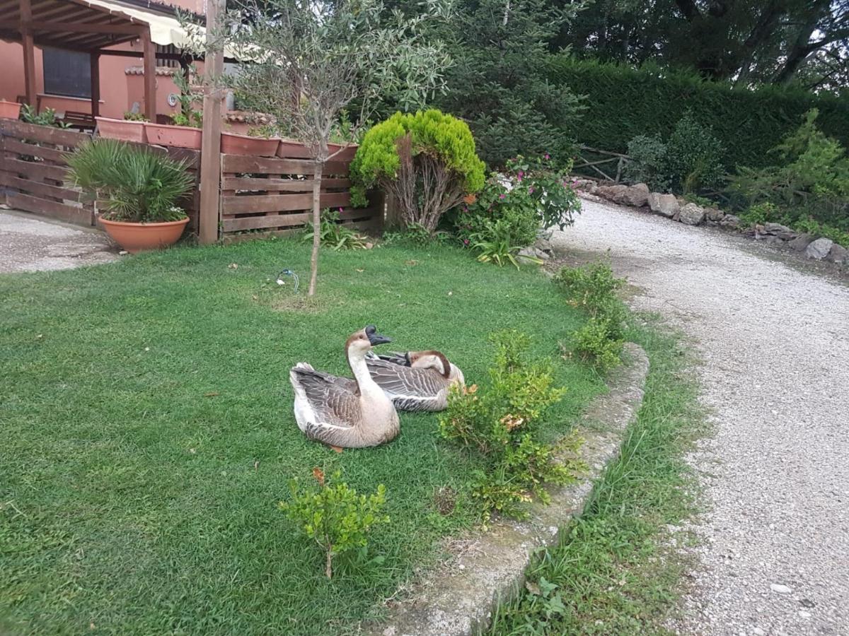 Bed and Breakfast Georgerock Grimaldi  Exterior foto